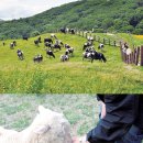 백두에너지 이미지