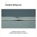 고려화학 1인용 방석매트 (접이식 휴대용 쿠션방석) +당일배송 +디자인선택 이미지