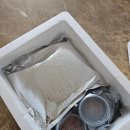 전라도 삼합 | 홍어삼합은 맛좋은흑산홍어 택배후기 (전라도 묵은지 서비스)