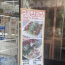 [군자역맛집] 군자곱창 막창 완벽조합 구공탄곱창 군자점