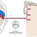 무진과학 이미지