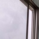 정자일로 이미지