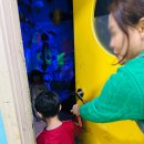 그림책 오감놀이(4~5세반) | 분당유아미술 미술로 생각하기 서현점 5살 체험수업후기