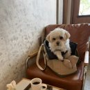 쿄우커피 이미지