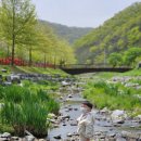 별천지공원-1(율리휴양촌앞) 이미지