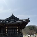 흑산도항아리홍어 | 여행 코스: 창억떡 호박인절미, 디저트 투어, 흑산도홍어집, 우일선 선교사 사택 view 카페 파세아르 까지!