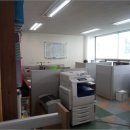 사파동303 이미지