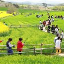 도암농장 이미지