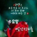 수요일 - 종로구 인사동길 36 | 수요일