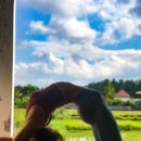 테라피 요가 이미지