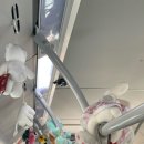 수정로279번길+수정로271번길 | 돈가스 찐 맛집 톤쇼우 광안점 내돈내산 주말 웨이팅 후기