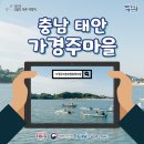 가경주어촌체험휴양마을 | 충남 태안 가경주마을 2월 갈만한 곳 추천!
