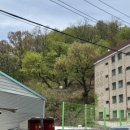 상수리주유소 이미지