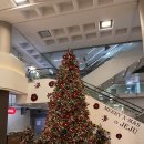 (주)제주스타렌탈 | [제주]겨울 한라산 등반 후기｜성판악 코스로 정복한 등린이 눈꽃 산행기