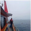 해인호 | 속초체험낚시배 속초 바다의 매력, 해인호 낚시 체험 후기