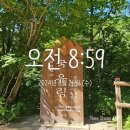 탄방로 | [인제 점봉산 곰배령 탄방로] 트레킹 ㅣ예약 하기 ㅣ리뷰 ㅣ 후기 ㅣ 설악산