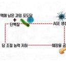 강남피티 네이버블로그
