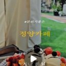 정양주유소 이미지