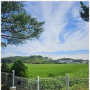 조이원펜션 이미지