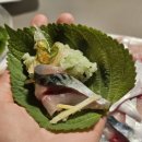 수영삼춘 | 부산 해운대 내돈내산 맛집 봉수삼춘 고등어회 포장 배달 후기
