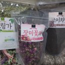 비허밍 스터디카페 이미지