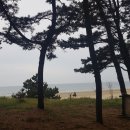 알맹이민박 이미지