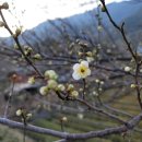 어사농장 이미지