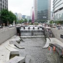서울답십리초등학교 이미지
