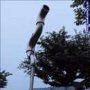 세모시 이미지