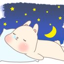 로이드밤익산 이미지