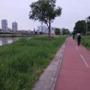 왕버들공원화장실 이미지