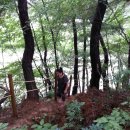 매화마을길 이미지