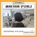 단정 | [공지] 분당미금역 미용실 헤어다이아 보브컷과 빌드펌으로 단정하게 변신 후기