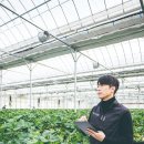 주식회사 그린위치 이미지