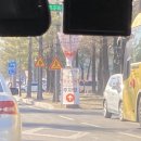 함안체육관 | [함안 축제] 2026 함안 곶감축제 후기