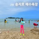 송지호오토캠핑장 | 고성 송지호 해수욕장 아이와 물놀이 하기 좋은 바다 입수 후기 &amp; 텐트 취사 송지호 오토캠핑장 정보
