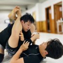 시지주짓수블랙리스트MMA