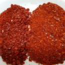 와이디팜 이미지