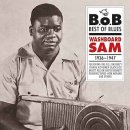 Back Door - Washboard Sam - 이미지