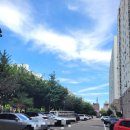 점프윙스 태권도, 줄넘기클럽 | 인천갈산동태권도 부평구줄넘기 '갈산가온태권도&amp;점프윙스줄넘기클럽'