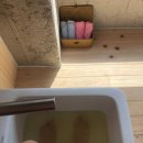 신안마원 이미지