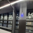 용인대청룡태권도 이미지