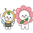 롯데하이마트 주식회사 이미지