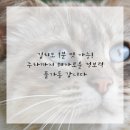 홍제약국 이미지