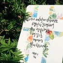 성실인쇄 Daum카페