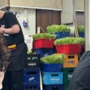 돼지촌식당 | [서울 강서구/방화] 꾸이꾸이돼지촌 쭈삼 솔직후기(내돈내산, 부추꾸미+볶음밥 미친 조합)