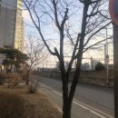 빵카페(대맥프라자) 이미지