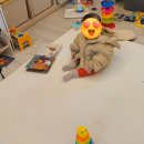 우리또래어린이집 | 만1세 어린이집 적응기간 후기 | 4일차 울음 끝, 5일 만에 낮잠 성공(3주차 기록)