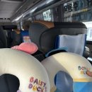 삼보목장 | 🇻🇳 우리의 세번째 나라 🇻🇳