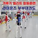 라이온즈 태권도장 이미지